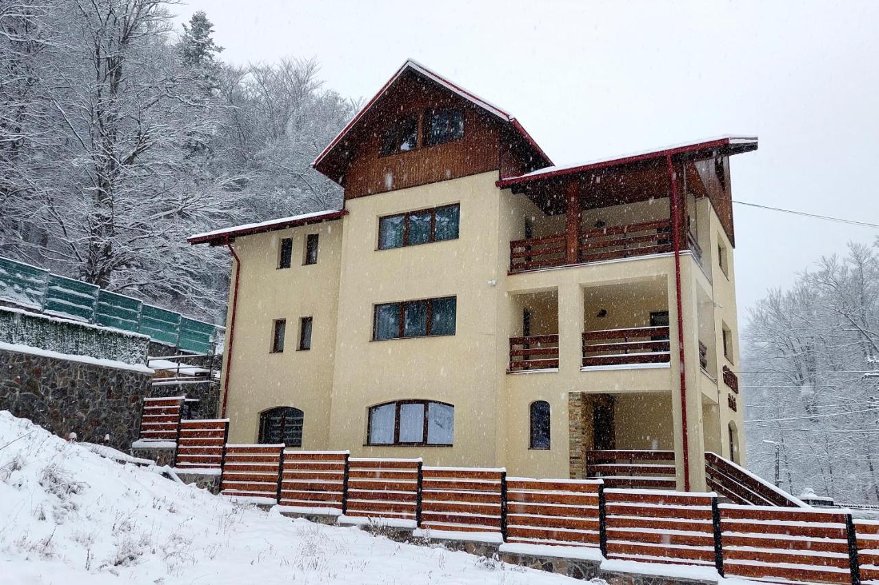 Casa Raisa Otel Buşteni Dış mekan fotoğraf